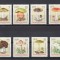 C5428 - Germania DDR 1974 - Ciuperci 8v.neuzat,perfecta stare,MNH