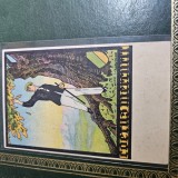 Carte postala transilvaneana f rara - COETUS MERRITIUM , cu monografie Fratiei Zirkel ( asociatie studenteasca transilvaneana ), inceput de an 1900