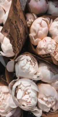 Husa Personalizata HUAWEI P20 Peonies foto