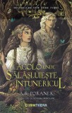 Acolo unde salasluieste intunericul
