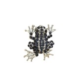 Brosa Broscuta cu cristale