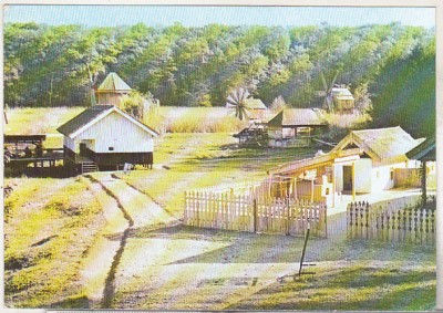 bnk cp Complexul muzeal Sibiu - Gospodarie de pescar Mahmudia - necirculata foto