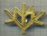 Y 1796 INSIGNA - MILITARA -SEMN DE ARMA -VANATORI DE MUNTE -PENTRU COLECTIONARI