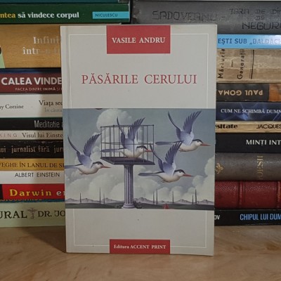 VASILE ANDRU - PASARILE CERULUI ( ROMAN ) , EDITIA A II-A,REVAZUTA , 2011 * foto
