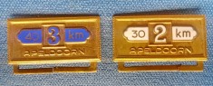 C989-I-2 Insigne APELDOORN Olanda 30 si 40 km bronz aurit emailat.