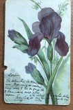 CPISTR7 Ilustrata Veche Flori Iris Text Romanesc Anul Nou Loco Emilia / Vintage Iris Flower Postcard Romanian Text New Year Loco Costanta