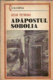 Adapostul Sobolia - Cezar Petrescu