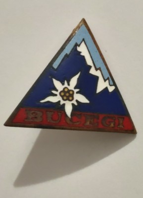 Insigna - Turism Bucegi - Floare de colt foto