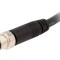 Conector M8 1m 4 PIN Tată Drept Cu Manșon și Cabluri