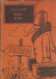 Ninsoare de iulie N. Dimitriu Editura Albatros Roman Literatura Romana An 1979 Proza Carte Veche Coperta Cartonata
