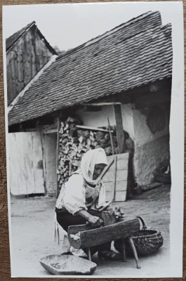 Taranca in ograda, anii&amp;#039; 30// reproducere de epoca foto