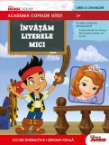 Cumpara ieftin Academia copiilor isteți. &Icirc;nvățăm literele mici