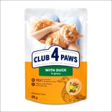 Club 4 Paws Rata in Sos, Hrana umeda pisici, 24x85g, Adult, Hrană completa cu Omega 3 si 6, Vitamine si minerale, Ingrediente Naturale