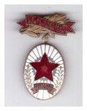Insigna Fruntas in productie al C.C. al Sind. Sfat. Pop. si Gosp. Com., inseriata, Romania de la 1950