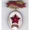 Insigna Fruntas in productie al C.C. al Sind. Sfat. Pop. si Gosp. Com., inseriata