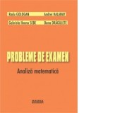 Probleme de examen. Analiza matematica