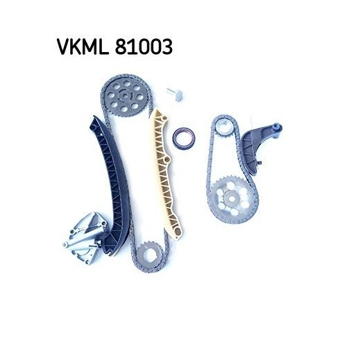 SKF chit lant de distributie