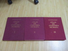 R. D. SINELNIKOV--ATLAS DE ANATOMIA HUMANA - 3 VOL. - IN SPANIOLA convorbire foto