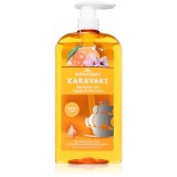 PAPOUTSANIS Karavaki Shine &amp; Vitality șampon pentru un par stralucitor si catifelat 600 ml