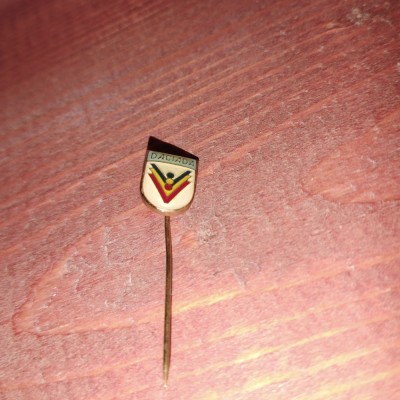 AMS# - INSIGNA DACIADA - PIN, varianta mica foto