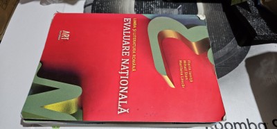 LIMBA SI LITERATURA NATIONALA EVALUARE NATIONALA IONITA STAN LASCAR EDIT ART foto
