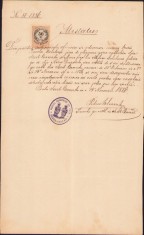 HST A1440 Vestire căsătorie 1886 Cenad Timiș Banat