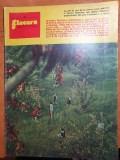 flacara 31 mai 1975-ceausescu la alba iulia,aiud,gura teghii,calugareni,cenaclul