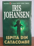 Iris Johansen &ndash;Ispita din Catacombe, Nemira