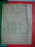 HOPCT DOCUMENT NR 557 ASIGURARE FACULTATIVA A BUNURILOR ADAS 1965 RPR CONSTANTA