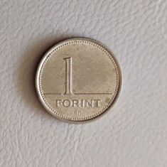 Ungaria - 1 forint (2006) - monedă s271