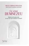 Ce vrea Dumnezeu - Neale Donald Walsch