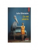 Ce vad pasarile - Iulia Gherasim