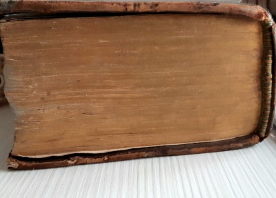 Psalmii lui David 1607 foto
