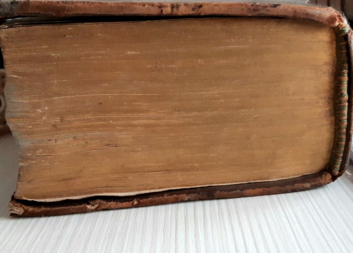 Psalmii lui David 1607