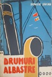 DRUMURI ALBASTRE-DIONISIE SINCAN-250868