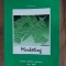 marketing Editura: Stefan Lupascu