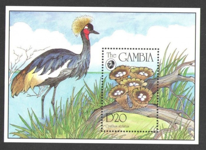 GAMBIA 1994 CIUPERCI