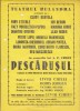 Bnk div Afis mic - Teatrul Bulandra - Pescarusul