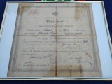 CERTIFICAT ABSOLVIRE AL STUDIILOR LICEALE , DE COLECTIE