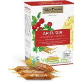 Apielixir Energie si Vitalitate cu Laptisor de Matca, Propolis, Miere, Ginseng Corean si Extract de Acerola 20 fiole x 10ml
