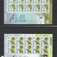 Alderney MNH 2000 - pasari rapitoare WWF