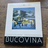 Bucovina album La peinture murale moldave aux XV-XVI siecles
