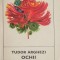 Ochii Maicii Domnului - Tudor Arghezi