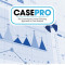 CasePro: The Consultant&#039;s Critical Thinking Approach to Case Analysis