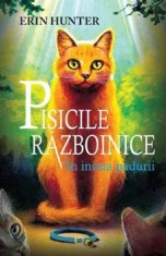 In inima padurii. Seria Pisicile razboinice. Volumul 1/Erin Hunter foto