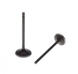 Set 2 supape admisie evacuare Atv Bashan 250 Cod Produs: MX_NEW BA0067