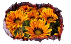 Autocolant decorativ, Gaura in perete, Arbori si flori, Multicolor, 83 cm, 314ST-1 foto