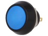 Comutator Anti-Vandalism IP65 2A 36VDC