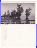 Basarabia,Romania interbelica,Ucraina -Valcov-Amurg pe Dunare