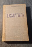 Razvratirea D. Furmanov